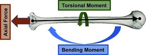 axial torsional loading pdf